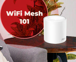 WiFi Mesh 101